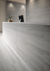 Picture of Roca - Serpentino Gris