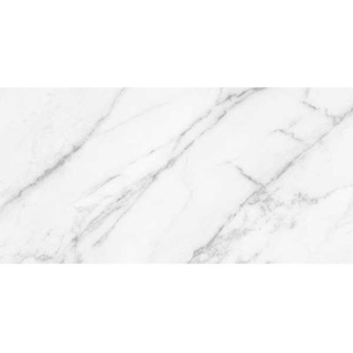 Picture of Roca - Statuary II 12 x 24 Matte White