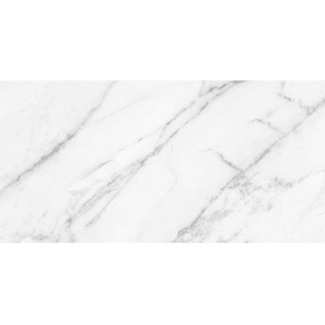 Picture of Roca - Statuary II 12 x 24 Matte White
