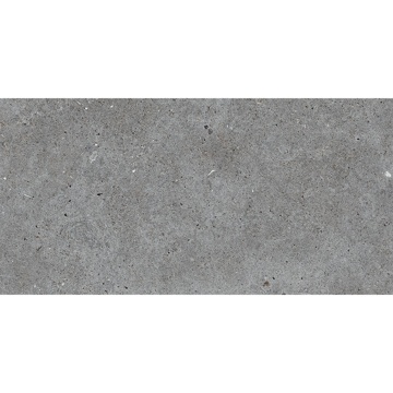 Picture of Roca - Stone Basel 24 x 48 Grafito