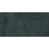 Picture of Roca - Terranova 12 x 24 Negro