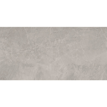 Picture of Euroker - Bayona 24 x 48 Polished Silver