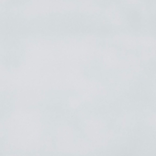 Picture of Adex USA - Habitat 5 x 5 Matte Leaf