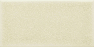 Picture of Adex USA - Ocean 3 x 6 Sand Dollar