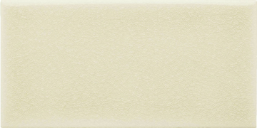 Picture of Adex USA - Ocean 3 x 6 Sand Dollar