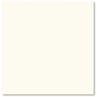 Picture of Adex USA - Floor Square Bone