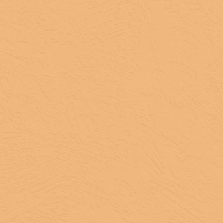 Picture of Johnsonite - Solid Colors Concrete Mr Sunshine