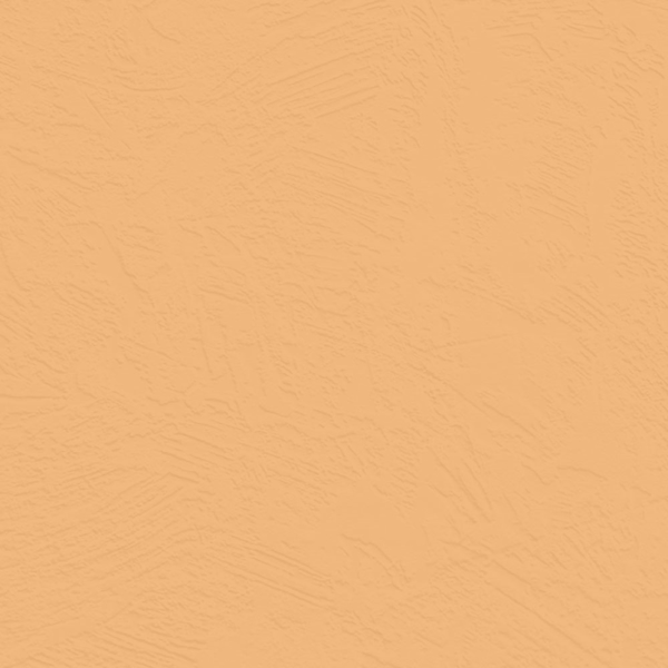 Picture of Johnsonite - Solid Colors Concrete Mr Sunshine