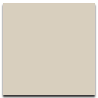 Picture of Johnsonite - Solid Colors Smooth 12 x 12 Canvas