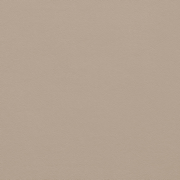 Picture of Johnsonite - Solid Colors Leather Beige