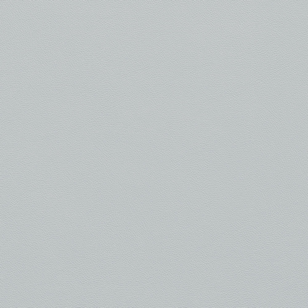 Picture of Johnsonite - Solid Colors Leather Platinum