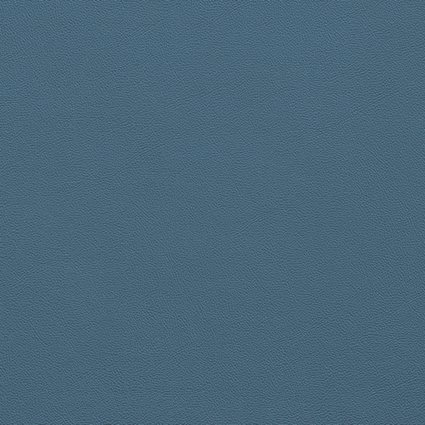 Picture of Johnsonite - Solid Colors Leather Windsor Blue