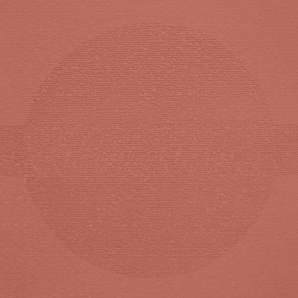 Picture of Johnsonite - Circulinity Round-A-Bout Spicy Chip