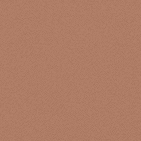 Picture of Johnsonite - Solid Colors Leather Red Clay