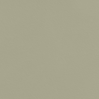 Picture of Johnsonite - Solid Colors Rice Paper Gecko