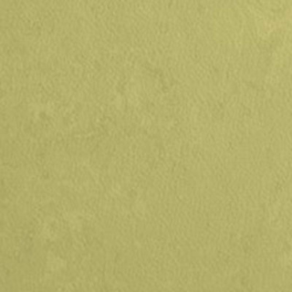 Picture of Johnsonite - Mesto Configurations 6 x 24 Enchanted Forest
