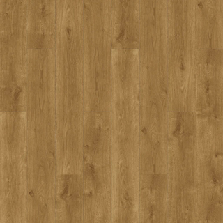Picture of Raskin - Elevations Country Home
