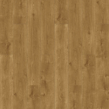 Picture of Raskin - Elevations Country Home