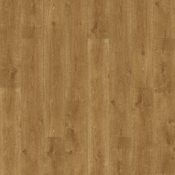 Picture of Raskin - Elevations Country Home