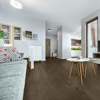 Picture of Raskin - Loft 9 x 60 Capri