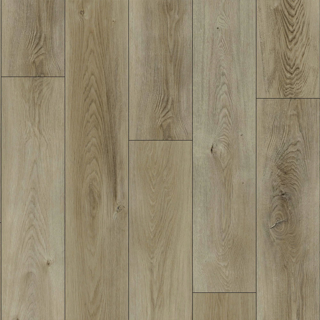 Picture of Raskin - FloorNation Rigid Plank Dune
