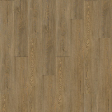 Picture of Raskin - Gencore HD Vail