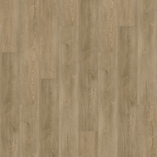 Picture of Raskin - Gencore HD St. John