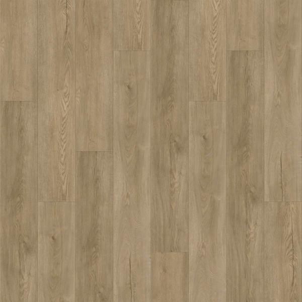 Picture of Raskin - Gencore HD St. John