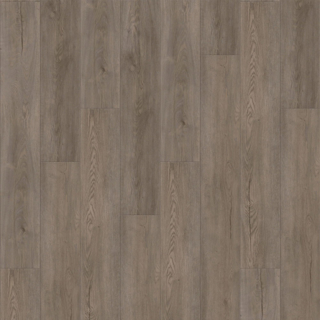 Picture of Raskin - Gencore HD Rocky