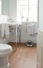 Picture of Adore - Naturelle Plus Long Planks Admire
