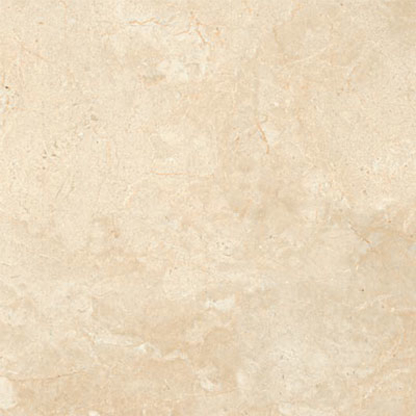Picture of SantAgostino - Themar 24 x 24 Matte Crema Marfil