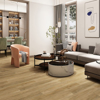 Picture of Bella Flooring Group - Kingston Sheerwood
