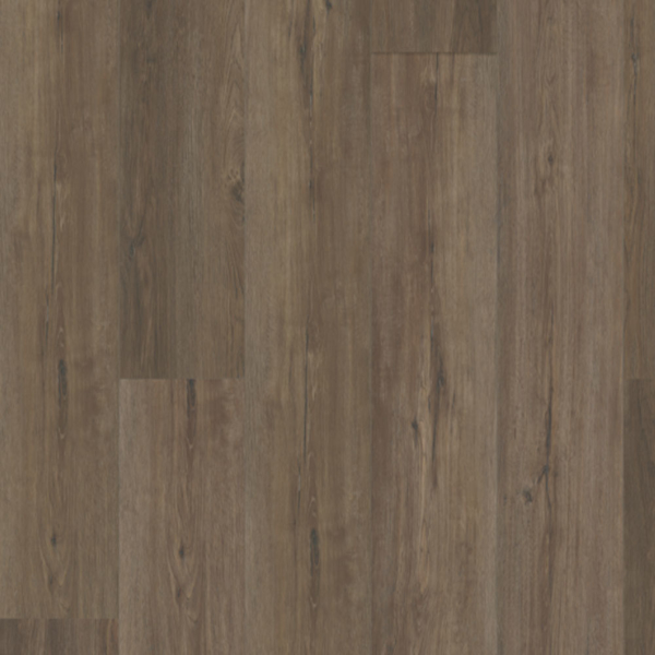Picture of Bella Flooring Group - Largo Woodland