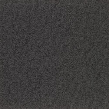 Picture of SFI Floors - Capital Blackbird
