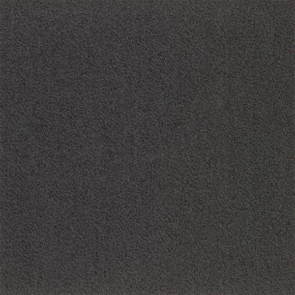 Picture of SFI Floors - Capital Blackbird