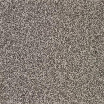 Picture of SFI Floors - Capital Dove Bar