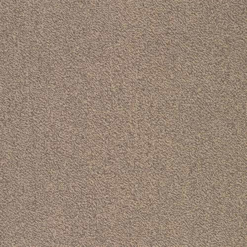 Picture of SFI Floors - Capital Mockingbird