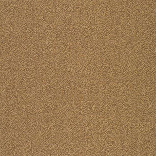 Picture of SFI Floors - Capital Ostrich