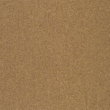 Picture of SFI Floors - Capital Ostrich