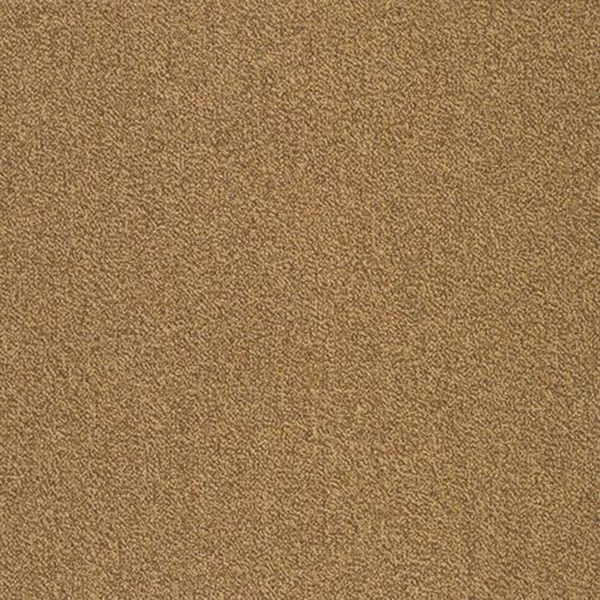 Picture of SFI Floors - Capital Ostrich