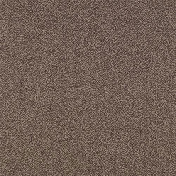 Picture of SFI Floors - Capital Seagull