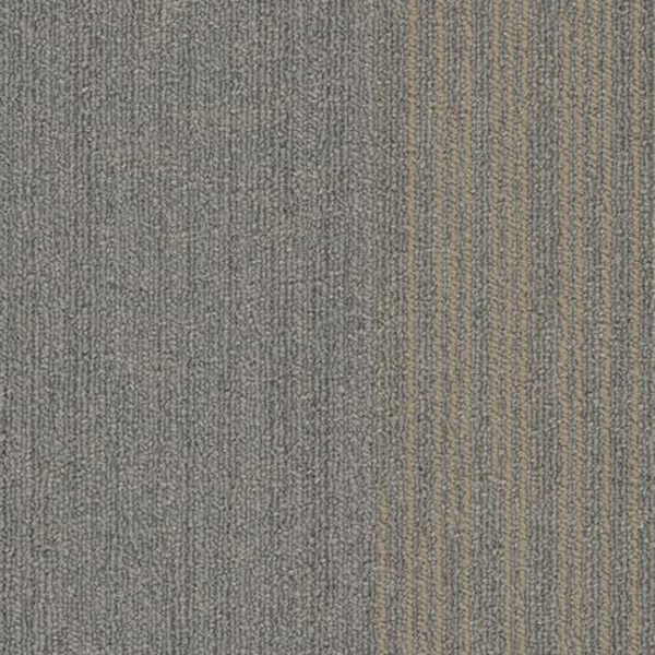 Picture of SFI Floors - Chicago Lincoln Park Zoo