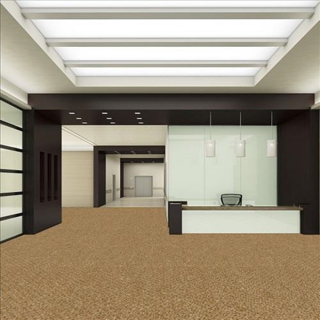 Picture of SFI Floors - Power Golden Rule