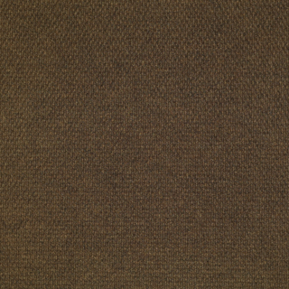 Picture of Patcraft - Walk Right In II Tobacco