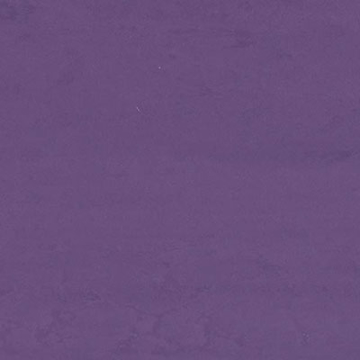 Picture of Altro - Dolce Essentials Basilica
