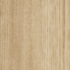 Picture of Patcraft - Timber Grove II 12MIL Sprout-V2