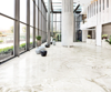 Picture of Milestone - Onyx 12 x 24 Polished White