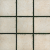 Picture of Milestone - Earth Pavers Moon White