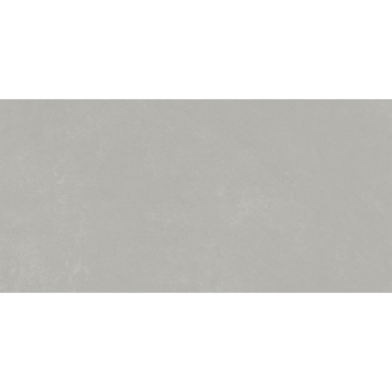 Picture of Emser Tile - Citizen 12 x 24 Matte Public