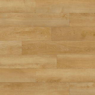 Picture of Durato - V-Evo XL Biscotti